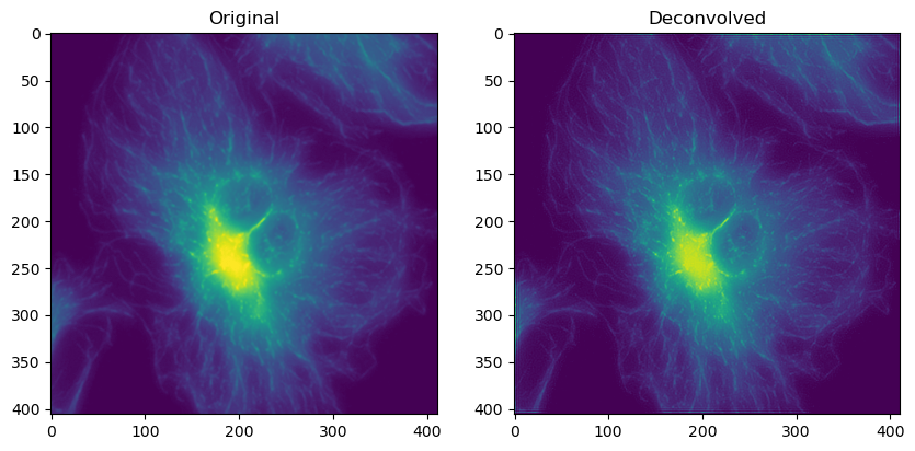 <Figure size 1000x500 with 2 Axes>