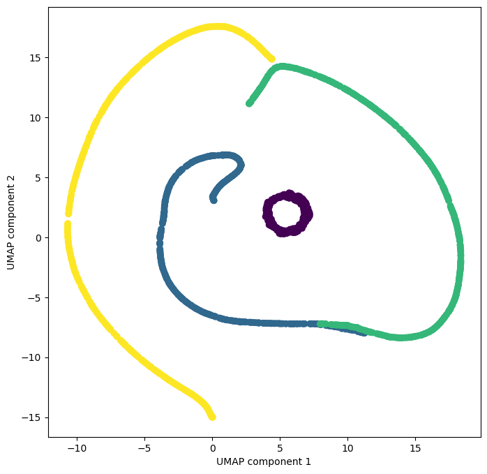 <Figure size 800x800 with 1 Axes>