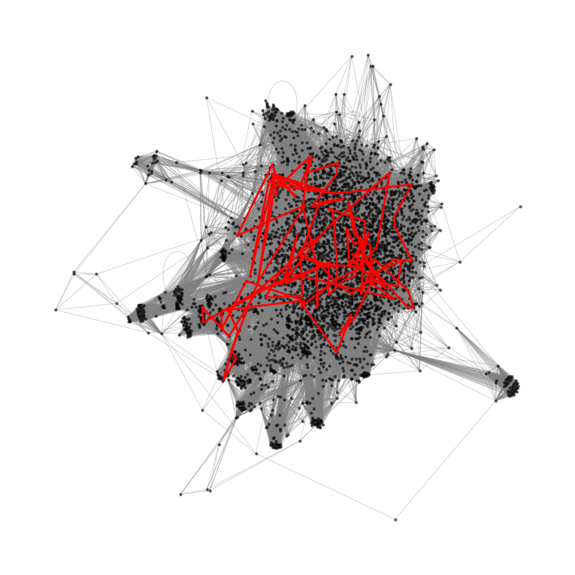 <Figure size 800x800 with 1 Axes>